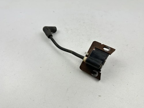 Zündspule motor rasenmäher - zündspule,