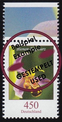 3191 blume bienen ragwurz 450 - blume, bienen-ragwurz