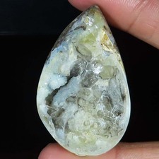 191.00 Cts Natürlich Fossil