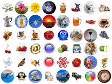 STECKEL Aufkleber rund 41,6mm