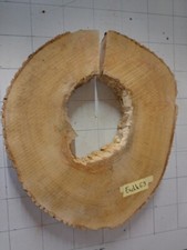 Esche Baumscheibe Tischplatte