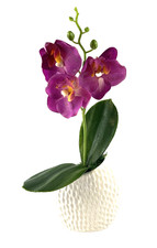 Orchideen-Gesteck Lila in