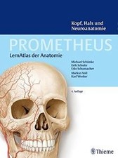 Kopf hals und - kopf,,