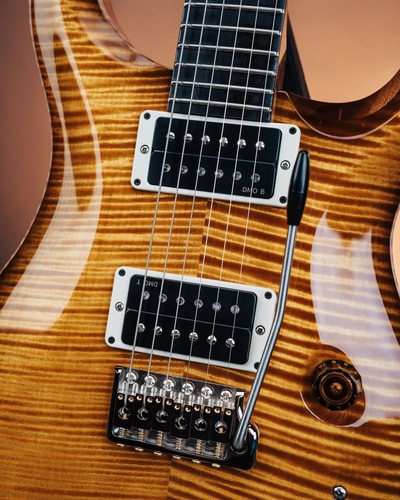 Prs custom birds - "birds, of