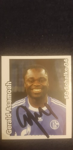 Gerald asamoah panini - -,