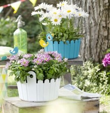 Emsa Landhaus Schale 30cm/26cm