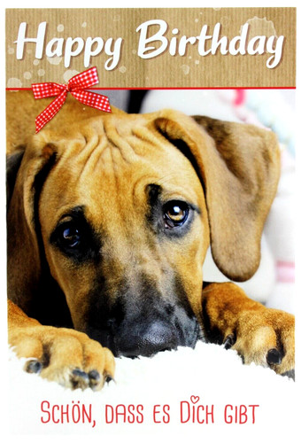 Rhodesian ridgeback - rhodesian,