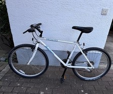 Specialized Rockhopper Mountainbike – frisch gewartet, top Zustand