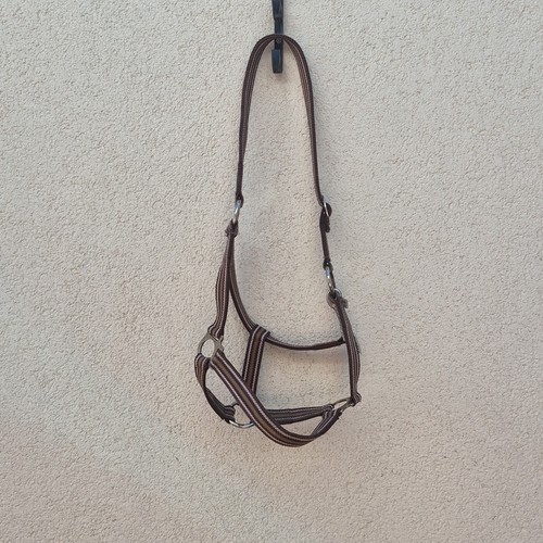 Equest nylon halfter gestreift - equest,