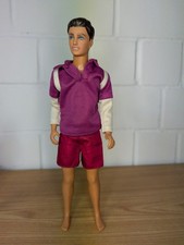 Vintage Puppe Paul  Cindy's Boyfriend Hasbro 1987