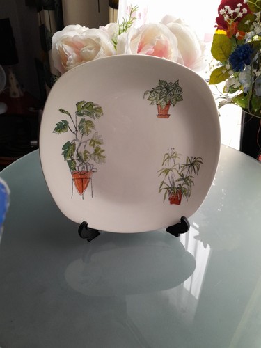 Midwinter potteries pflanze - potteries,