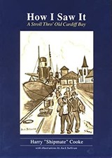 How I Saw It : A Stroll Thro'