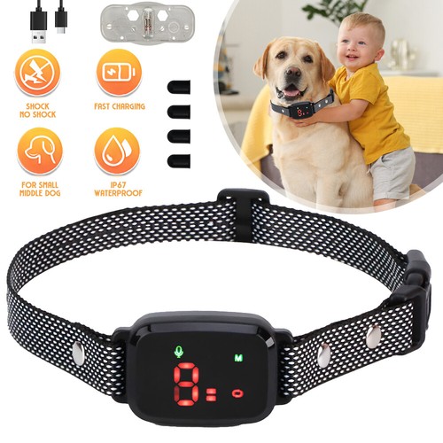 Anti bell halsband hunde - anti, bell-halsband