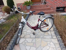 Passat Latina Damenrad