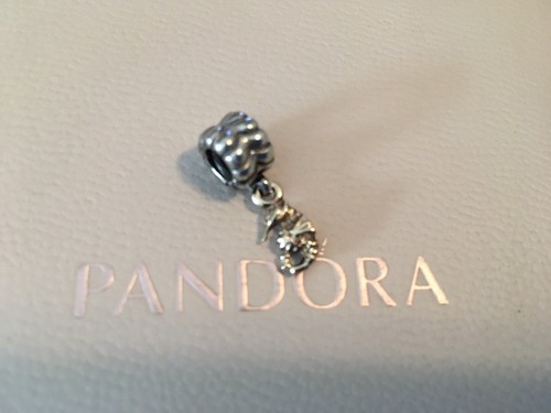 Pandora charm anhänger - pandora,