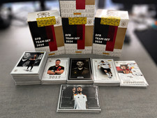 Panini DFB Team Set 2024