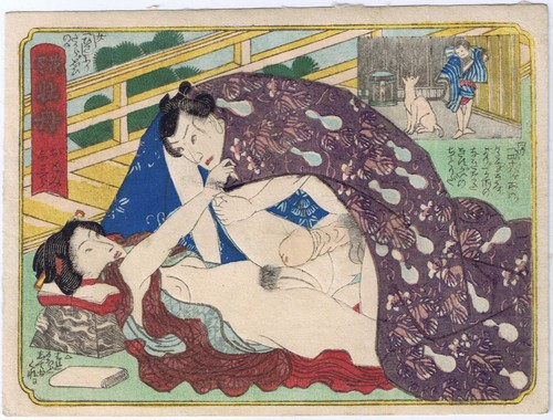 Shunga kunichika - shunga,