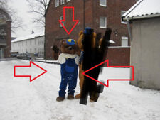 Bär / Laufkostüm / Paradekostüm / Maskottchen / Walking Act  