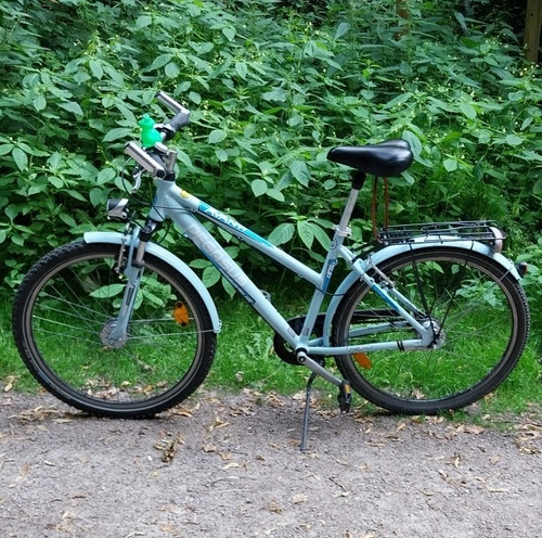 Pegasus kinderrad gang - pegasus-kinderrad,, 7-gang