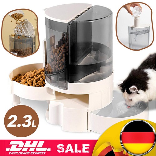 Hunde katzen wasser - katzen,