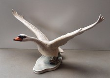 Göbel Höckerschwan /