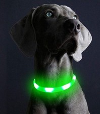 Led leuchtring hunde - led,
