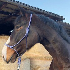 Knotenhalfter cob pony - knotenhalfter, wb