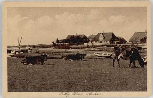 Oland hallig - hallig,