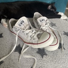 Converse All Star Chucks 41
