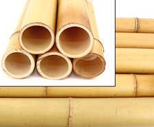 Bambusrohr Moso gelb gebleicht 100cm mit 12 -15cm Durch.