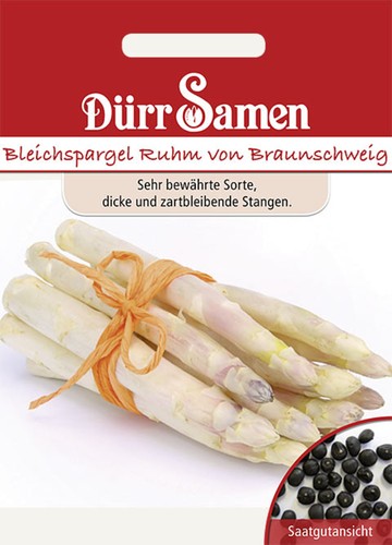 Bleichspargel ruhm von - bleichspargel,