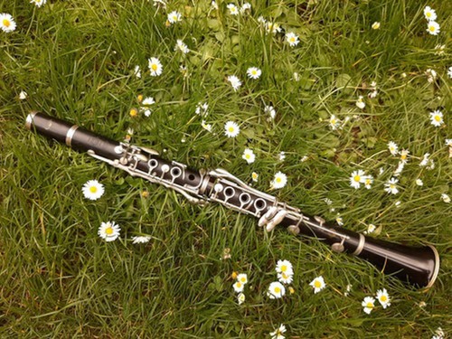 Klarinette selmer paris - selmer,