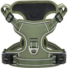 Hundegeschirr Welpen