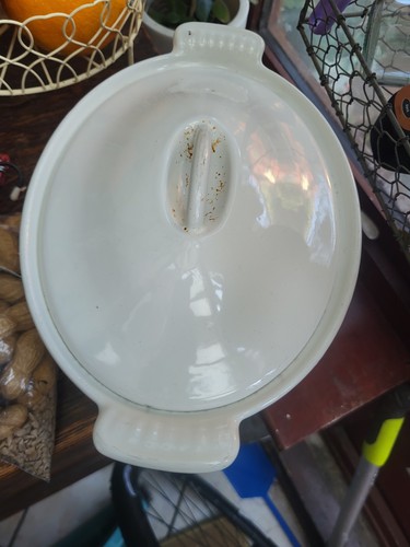 Creuset ofenschale - le,