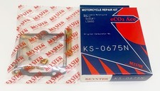 Vergaser Reparatur Satz