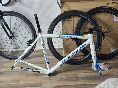 Cannondale caad9 size - cannondale, 50