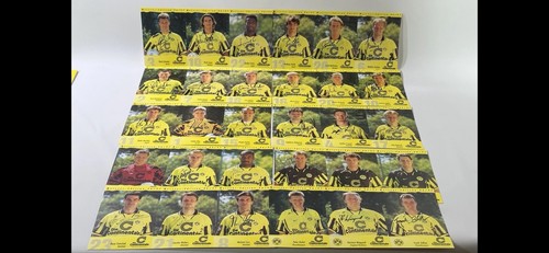 Borussia dortmund bvb - dortmund,