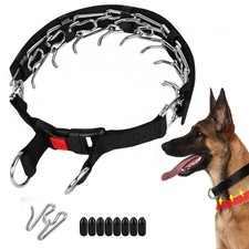 Hundehalsband Verstellbarer