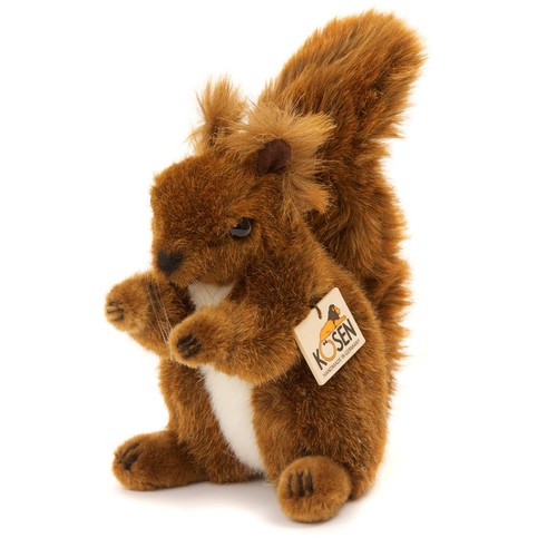 Rotes eichhörnchen edles - rotes,