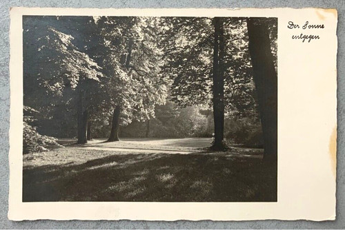 Oberlausitz neugersdorf - ak,