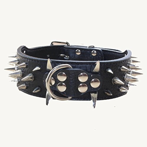 Hundehalsband mit spitzen - hundehalsband,