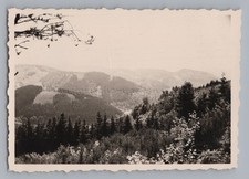 Gutach Schwarzwaldbahn 1959 -