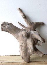 Treibholz Schwemmholz