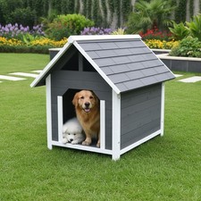 Hundehaus hundehütte - hundehaus,