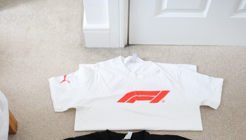 Seltenes puma formel - 1, f1