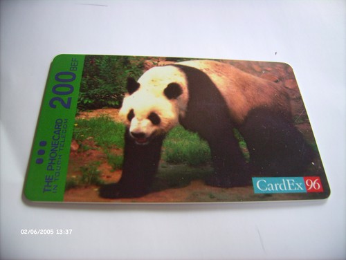 Cardex card seltene karte - ex,