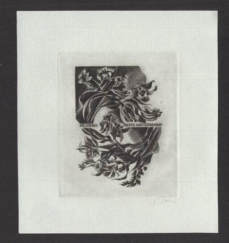 166 exlibris ex - s2)nr.166,exlibris,,