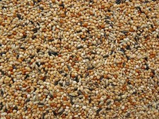 Exotenfutter FEIN 10 kg