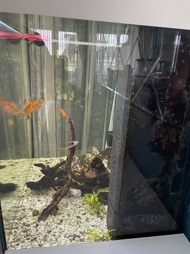 aquarium