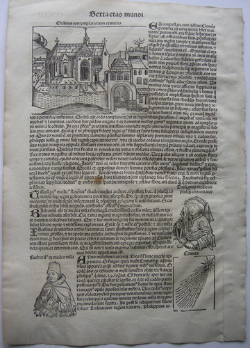 Templerorden trusianus medicus - templerorden,